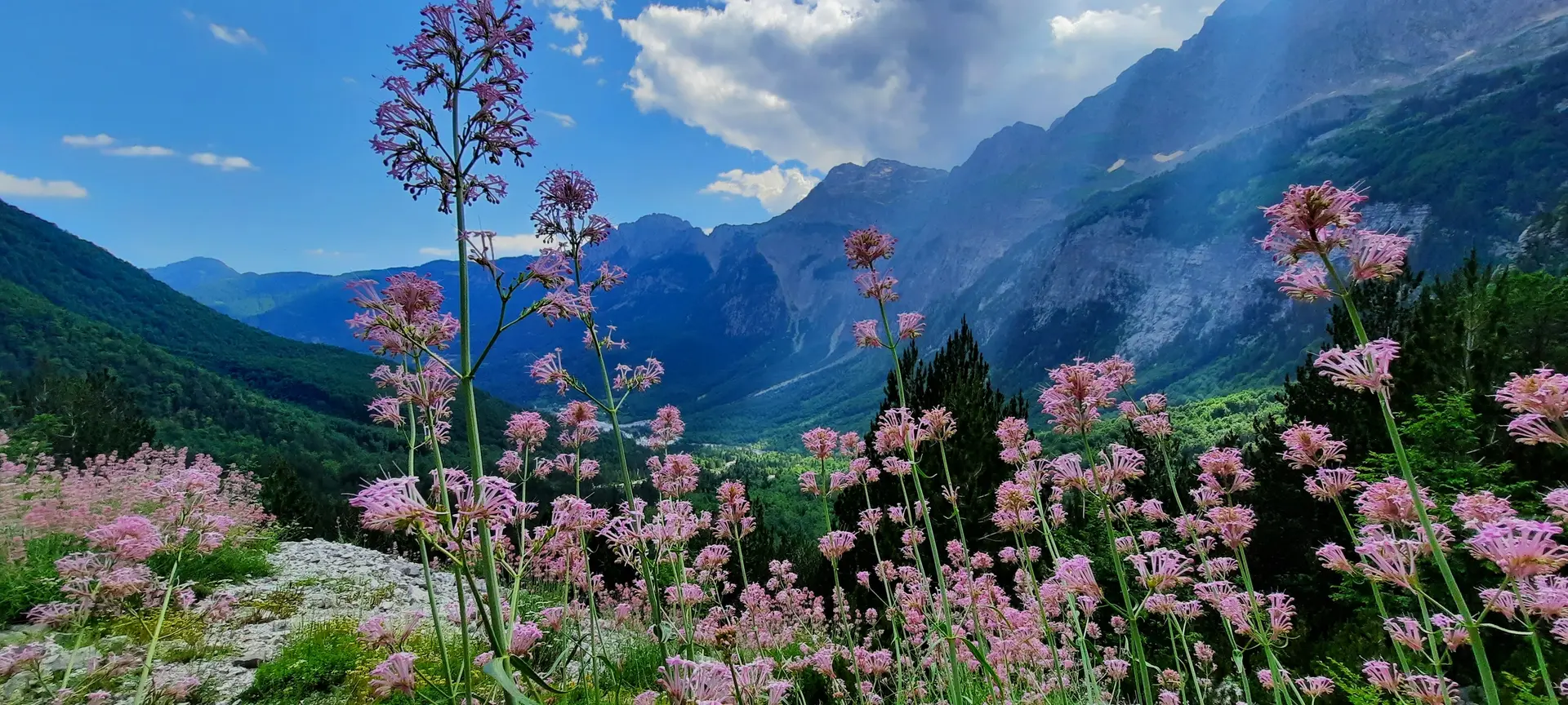 © Copyright: DAV Treuchtlingen