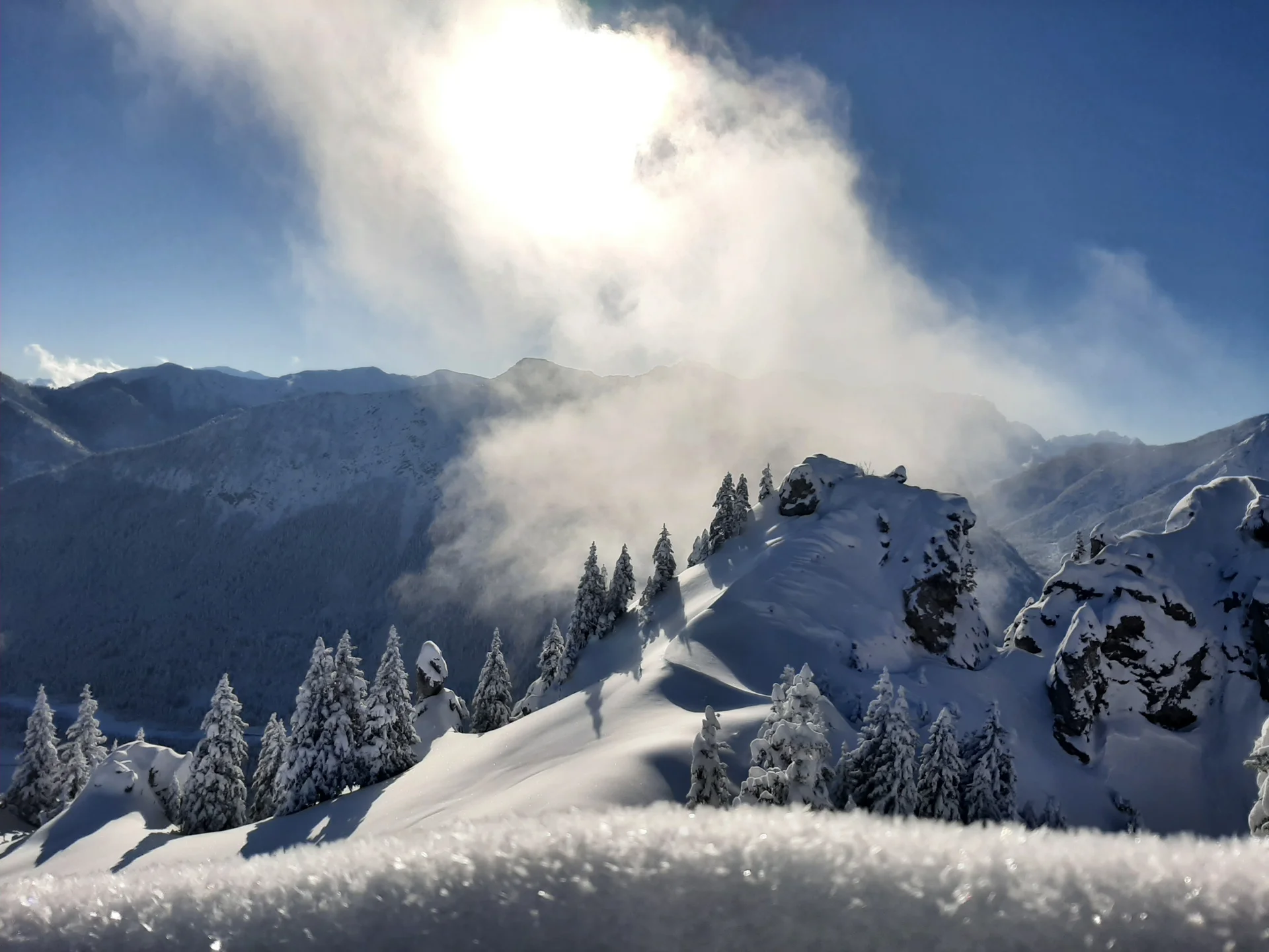 © Copyright: Sektion Treuchtlingen