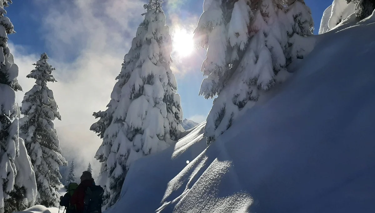 © Copyright: Sektion Treuchtlingen