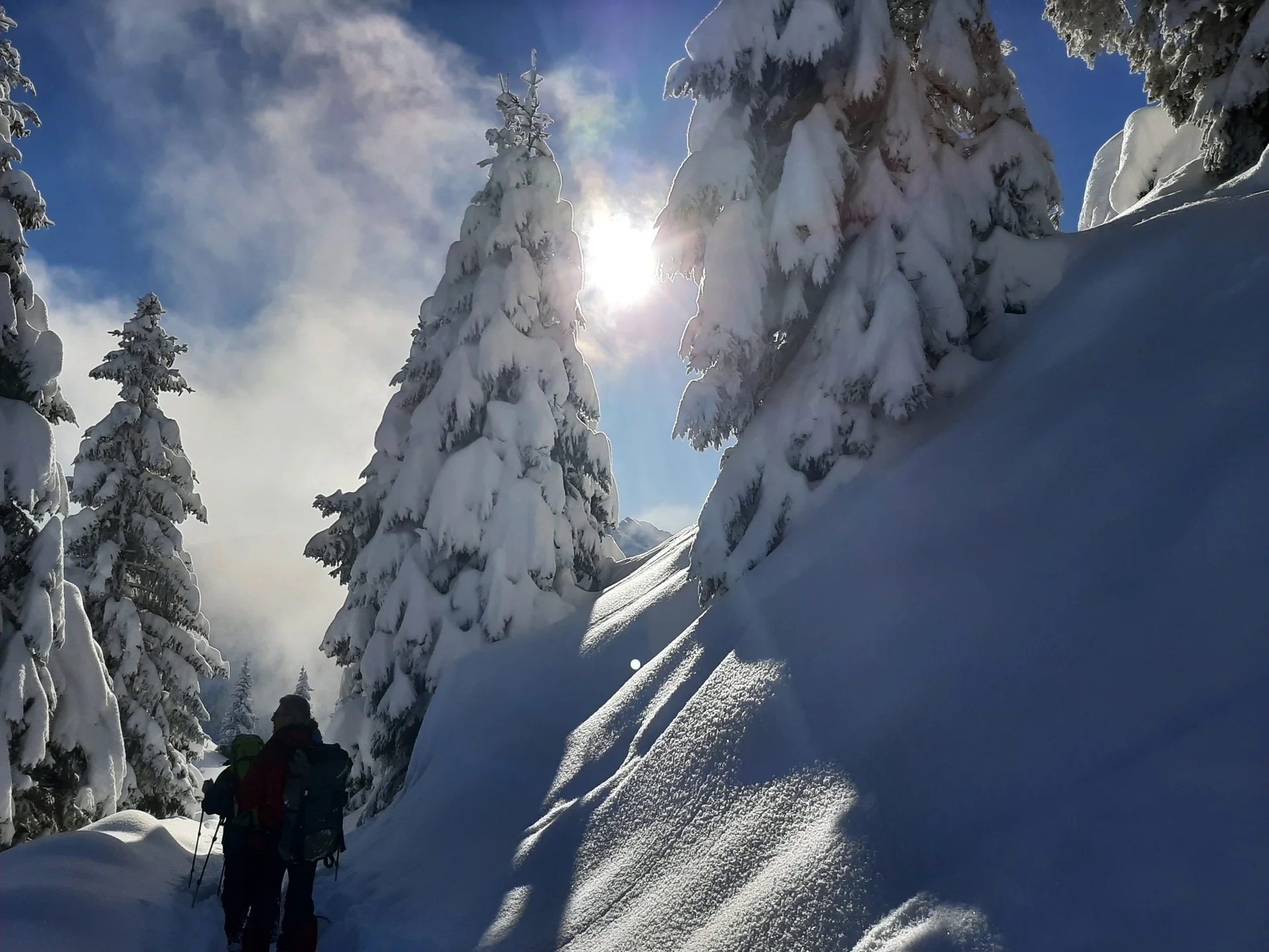 © Copyright: Sektion Treuchtlingen