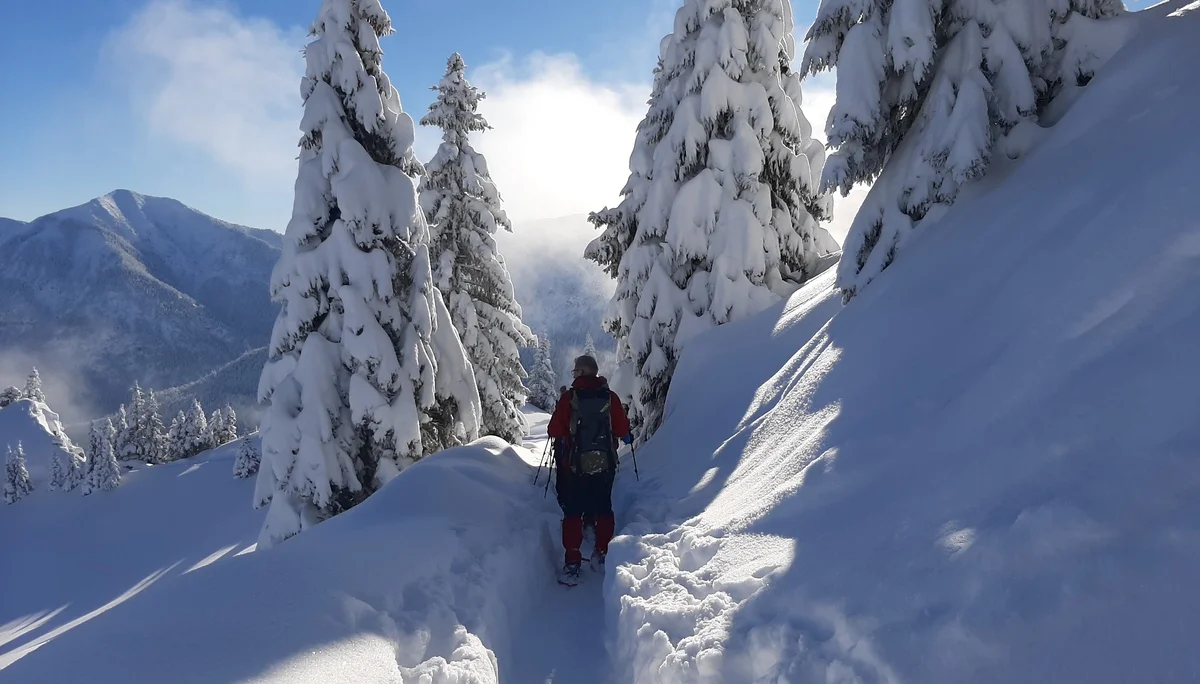 © Copyright: Sektion Treuchtlingen