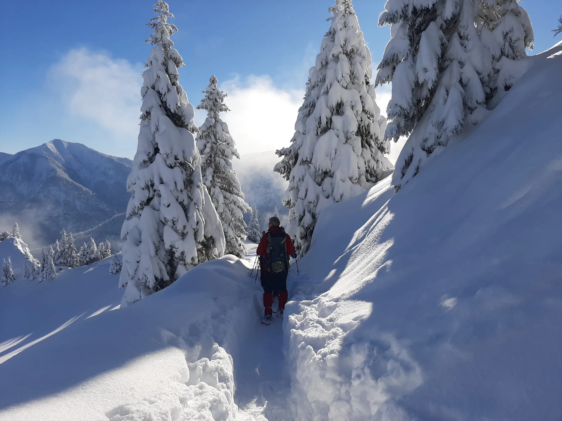 © Copyright: Sektion Treuchtlingen