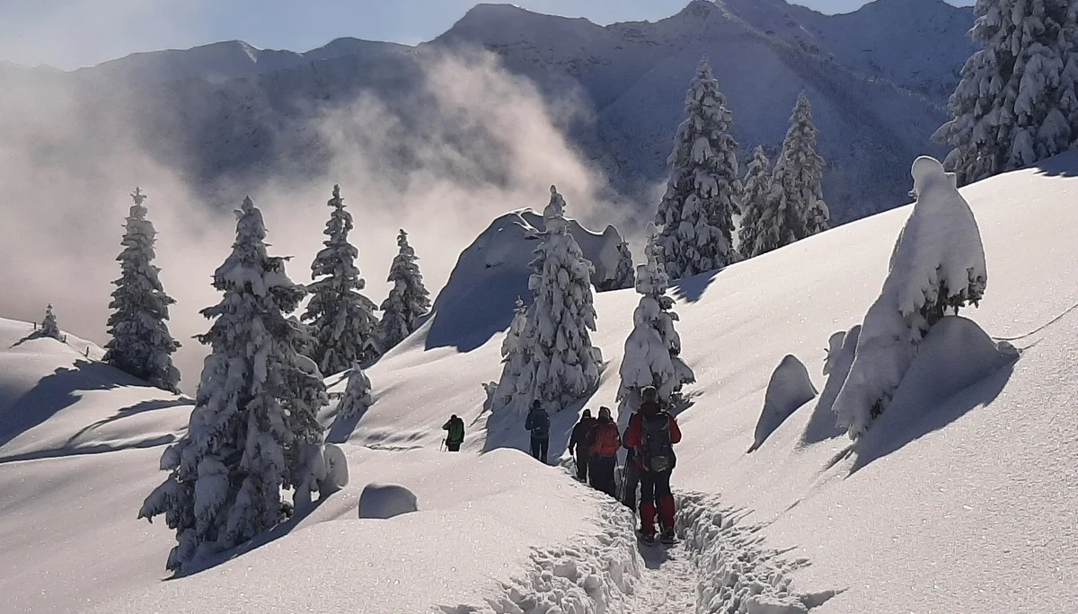 © Copyright: Sektion Treuchtlingen