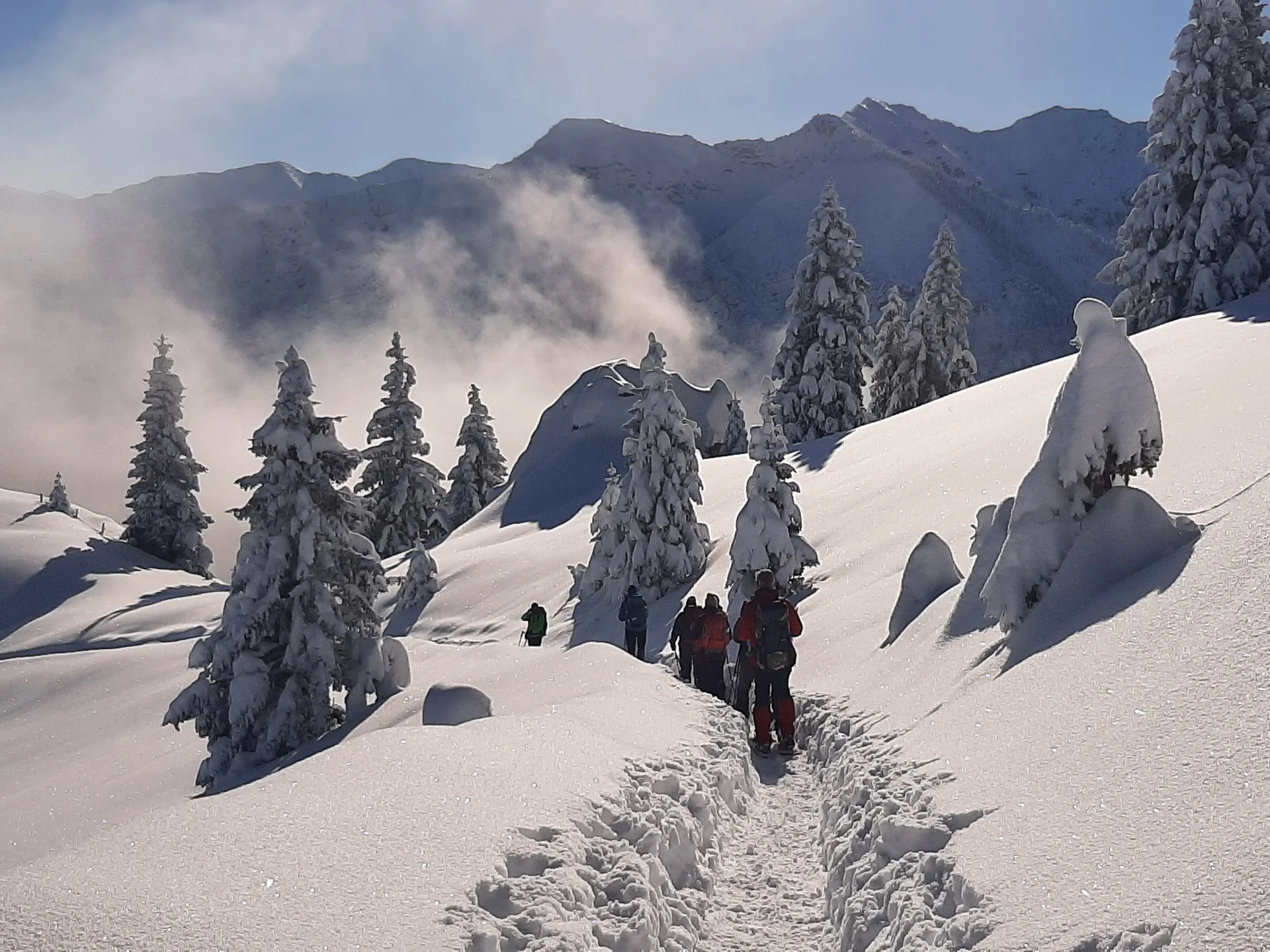 © Copyright: Sektion Treuchtlingen