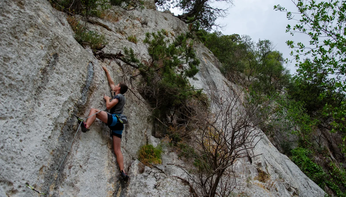 © Copyright: Sektion Treuchtlingen