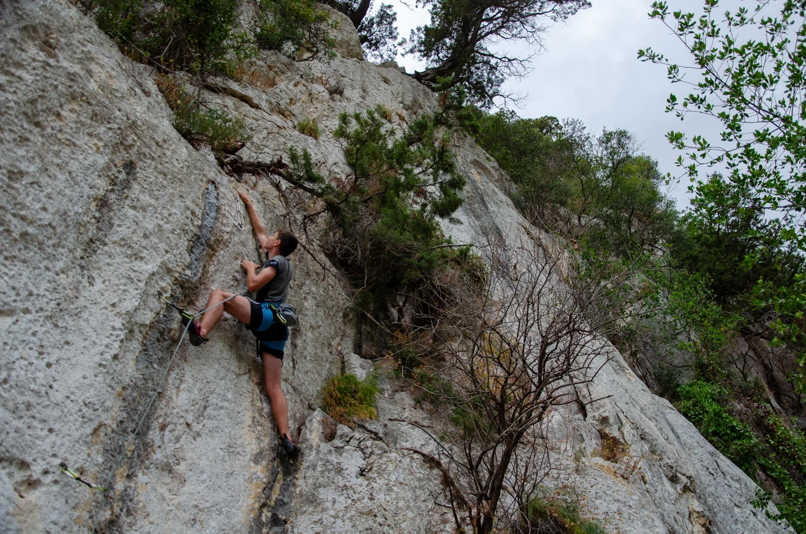 © Copyright: Sektion Treuchtlingen