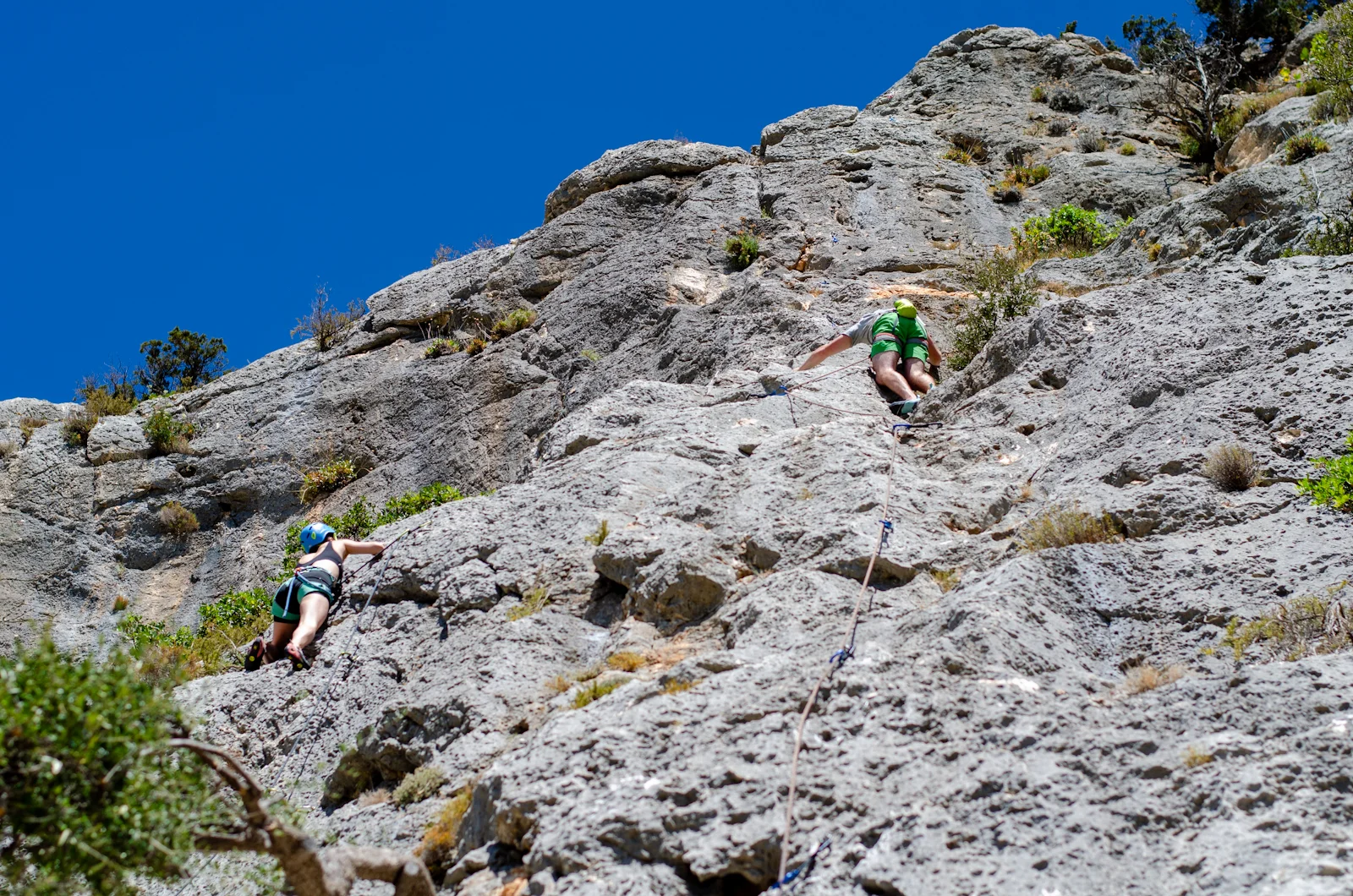 © Copyright: Sektion Treuchtlingen