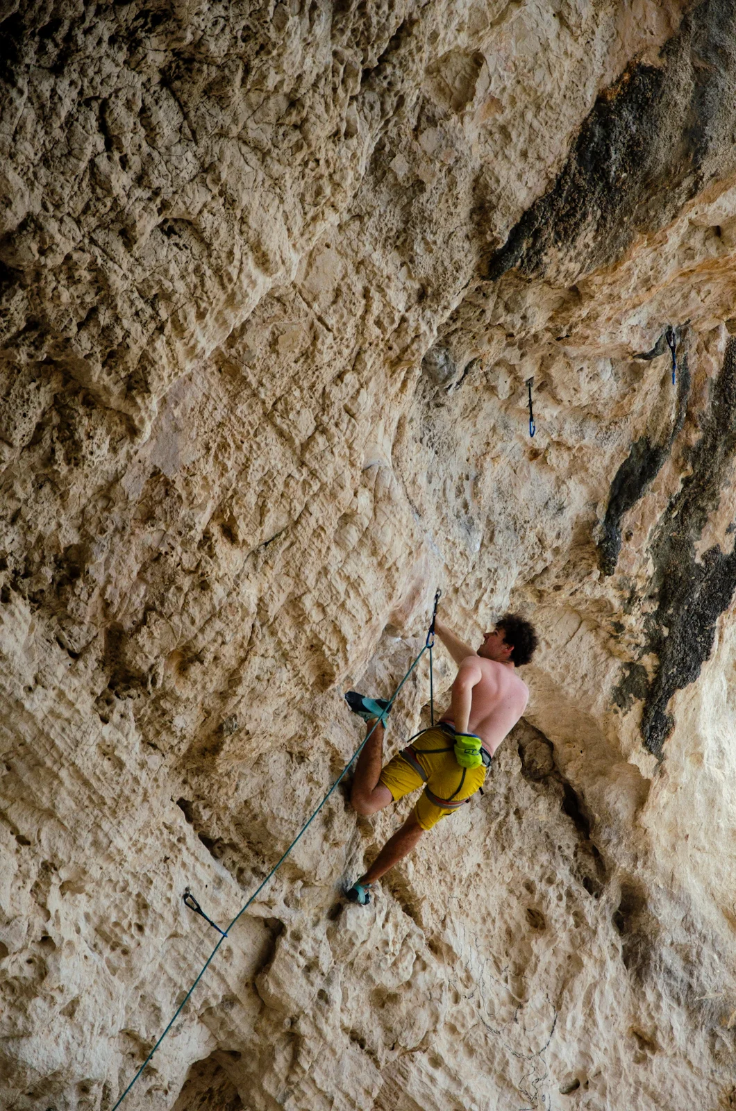 © Copyright: Sektion Treuchtlingen