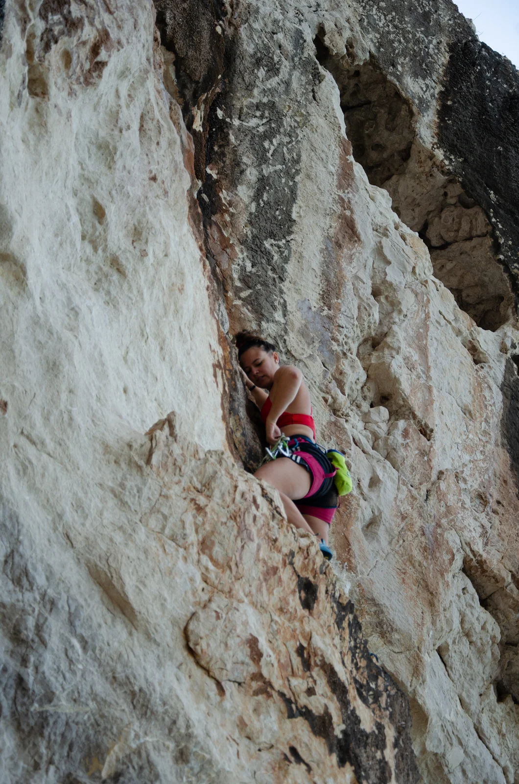 © Copyright: Sektion Treuchtlingen