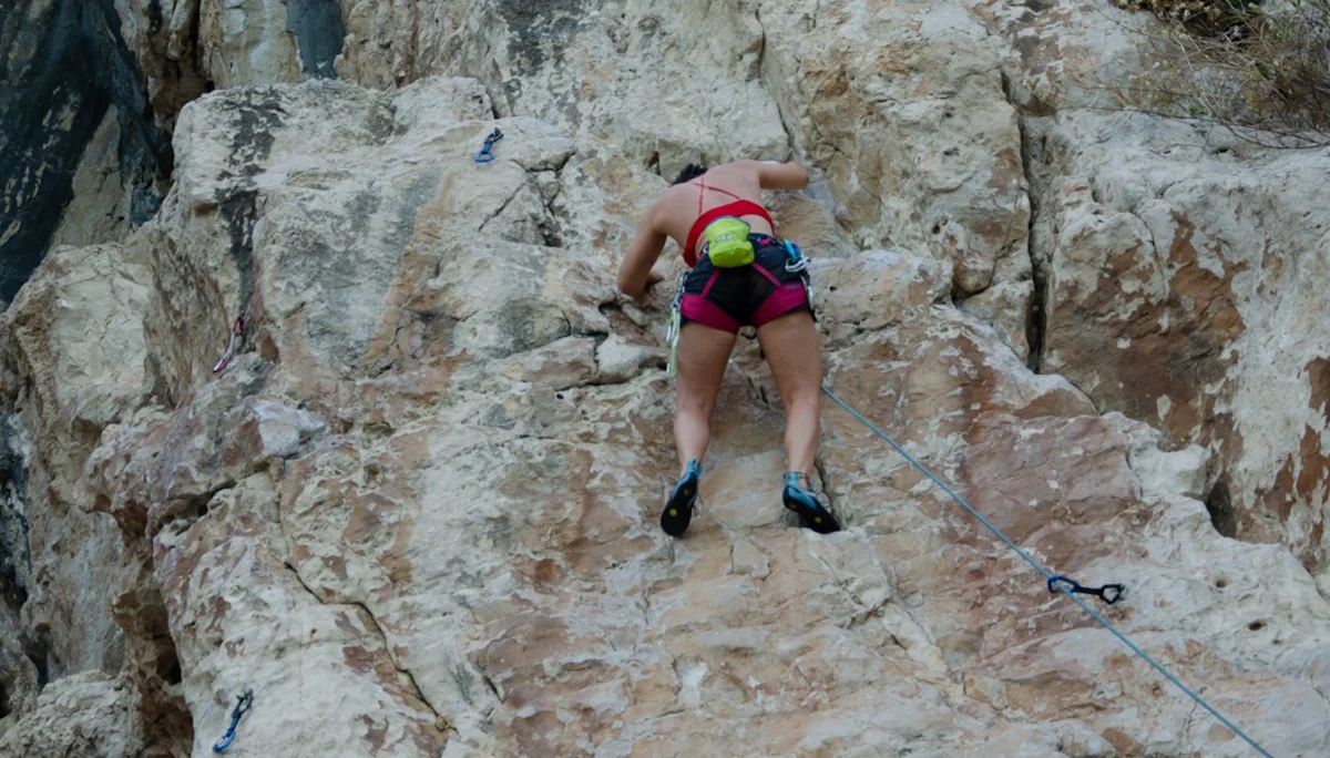 © Copyright: Sektion Treuchtlingen