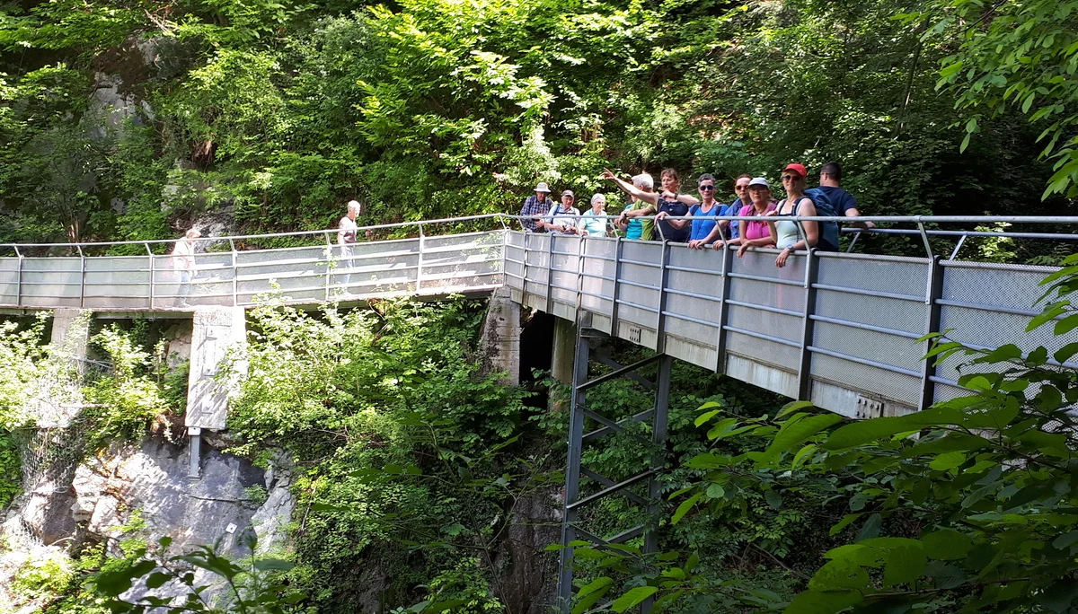 © Copyright: Sektion Treuchtlingen