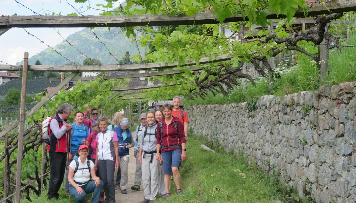 © Copyright: Sektion Treuchtlingen