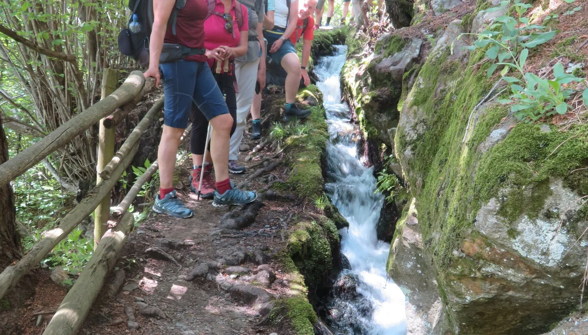 © Copyright: Sektion Treuchtlingen