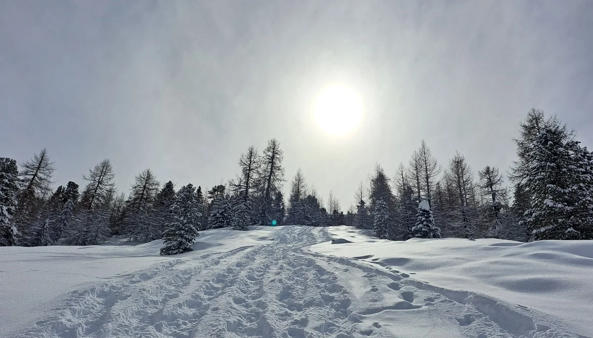 © Sektion Treuchtlingen