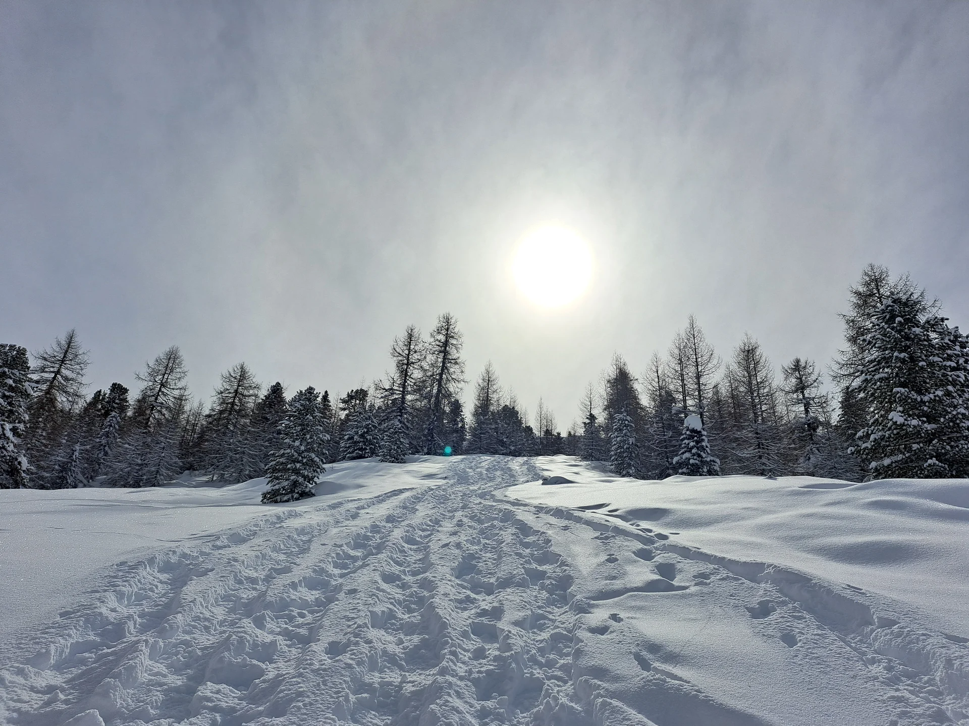 © Sektion Treuchtlingen