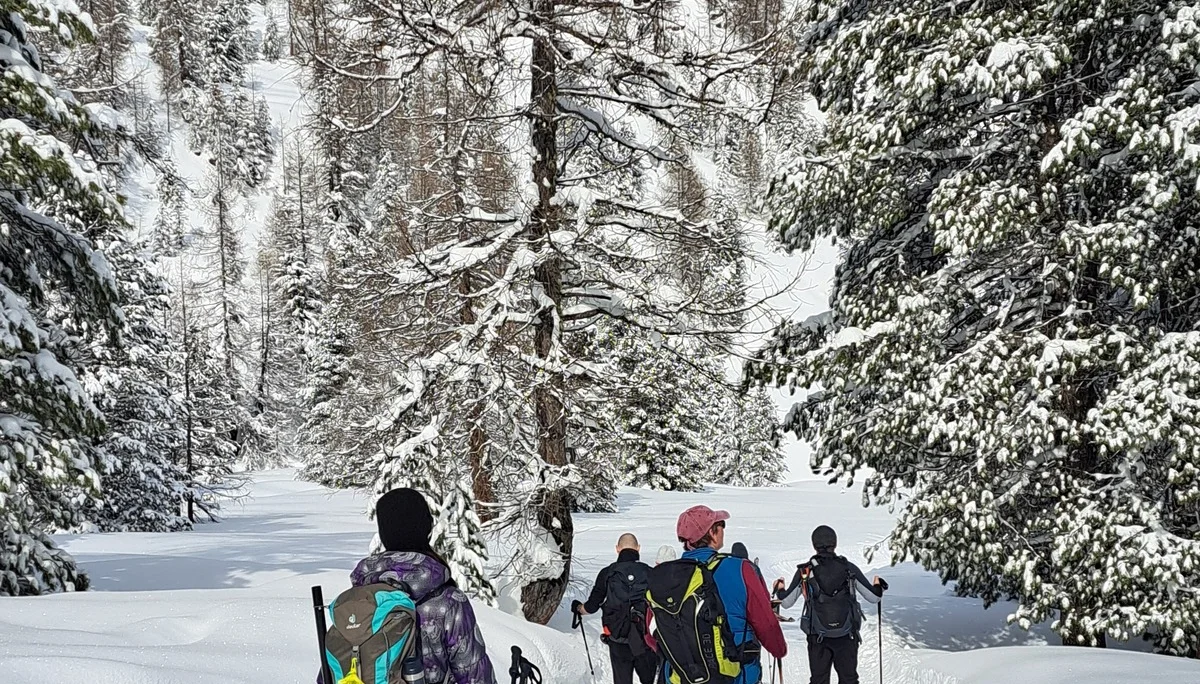 © Sektion Treuchtlingen