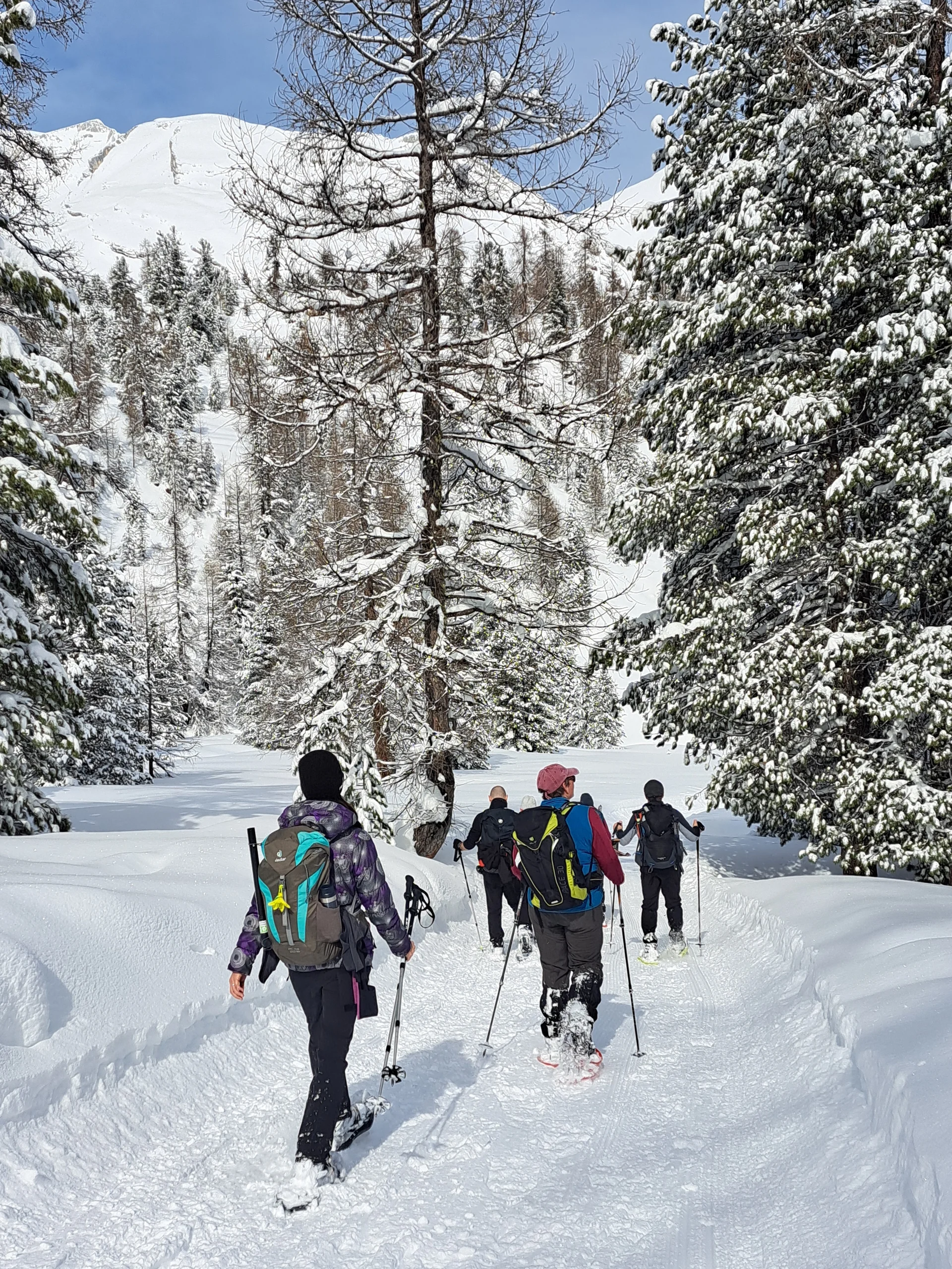 © Sektion Treuchtlingen