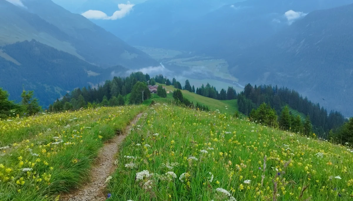 © Copyright: Sektion Treuchtlingen