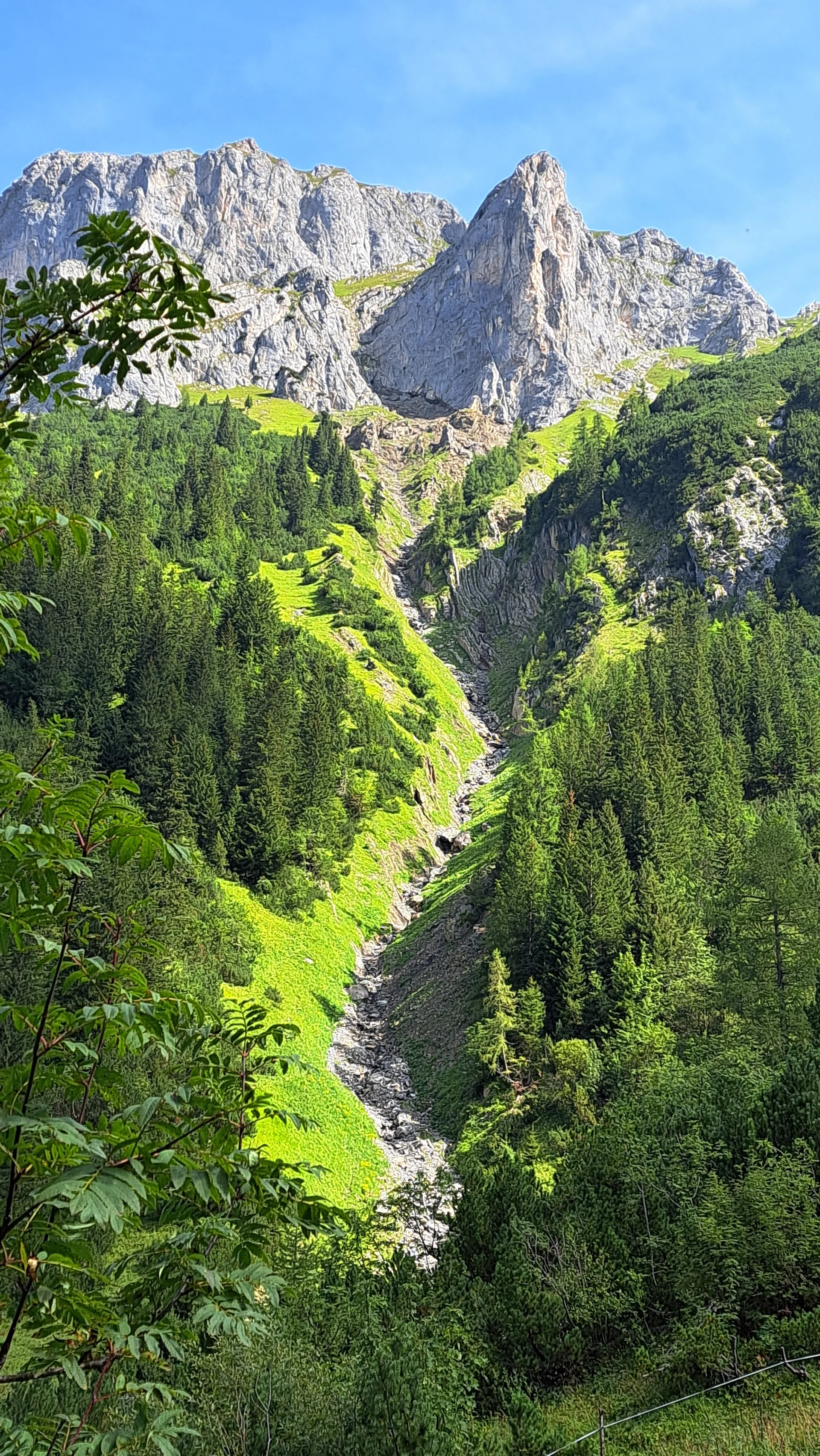 © Copyright: Sektion Treuchtlingen