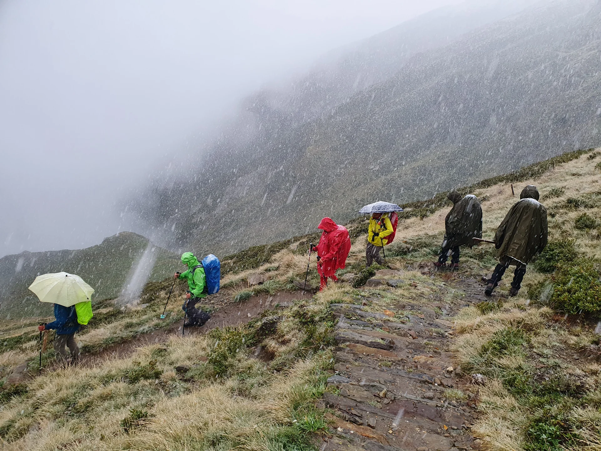 © Copyright: Sektion Treuchtlingen