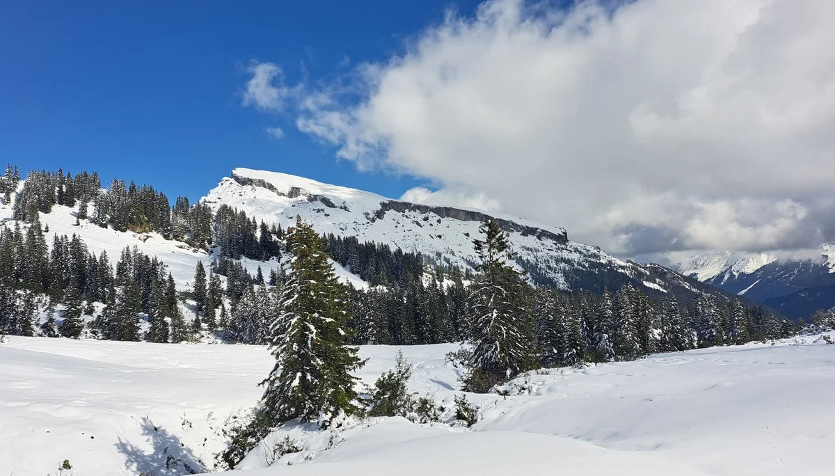 © Copyright: Sektion Treuchtlingen