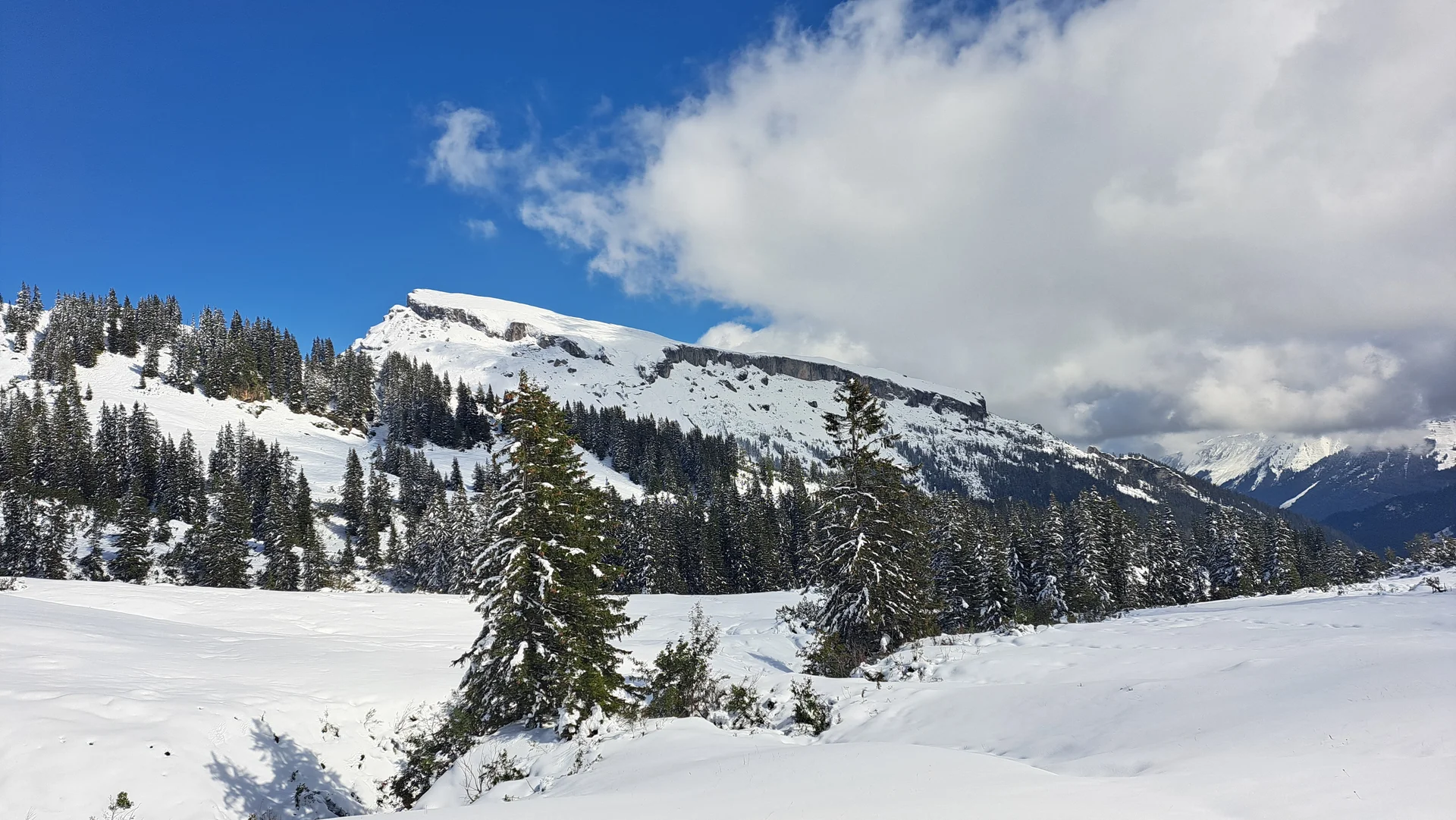 © Copyright: Sektion Treuchtlingen