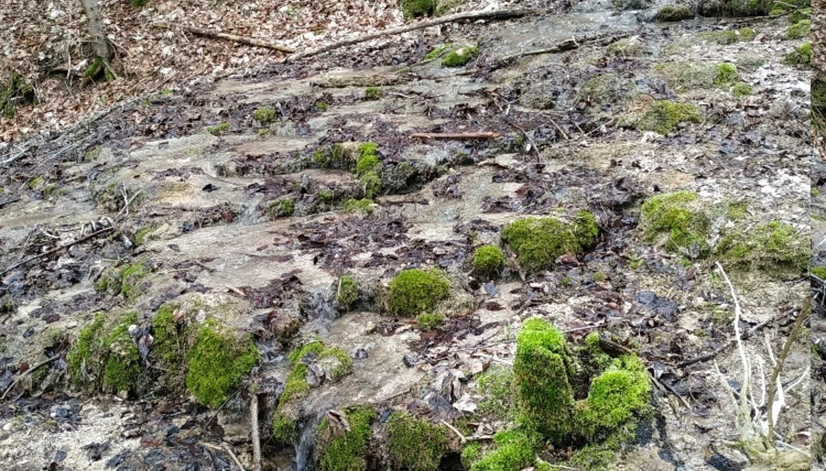 © Copyright: Sektion Treuchtlingen