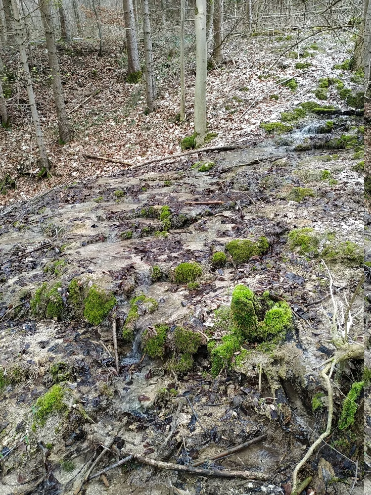 © Copyright: Sektion Treuchtlingen