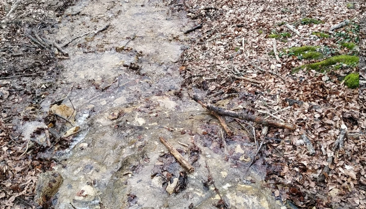 © Copyright: Sektion Treuchtlingen