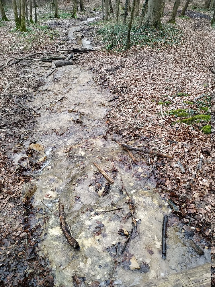 © Copyright: Sektion Treuchtlingen