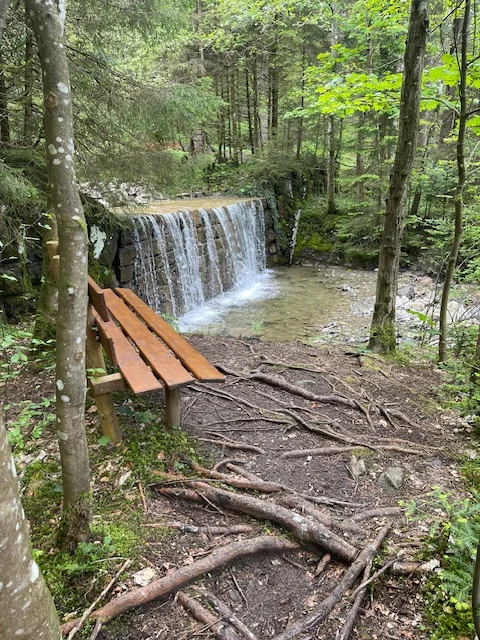 © Copyright: Sektion Treuchtlingen