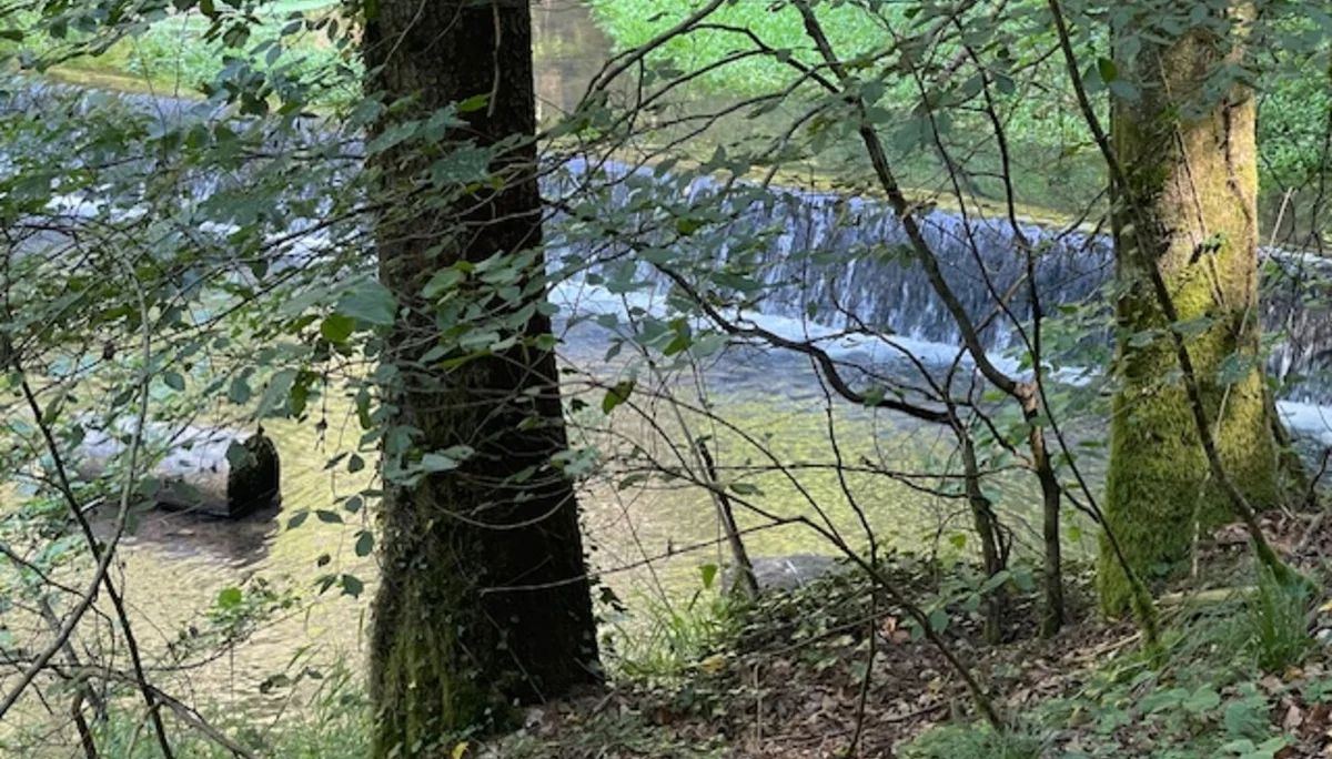 © Sektion Treuchtlingen