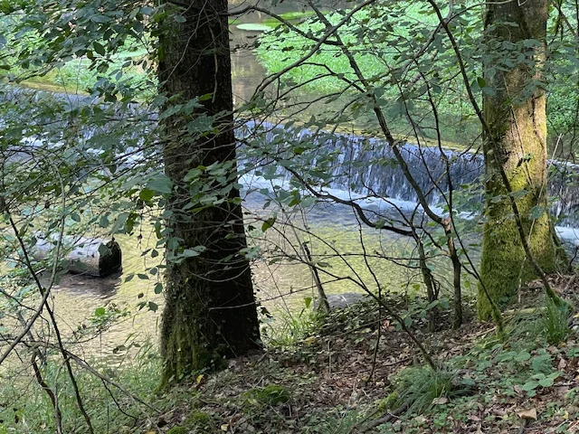 © Sektion Treuchtlingen