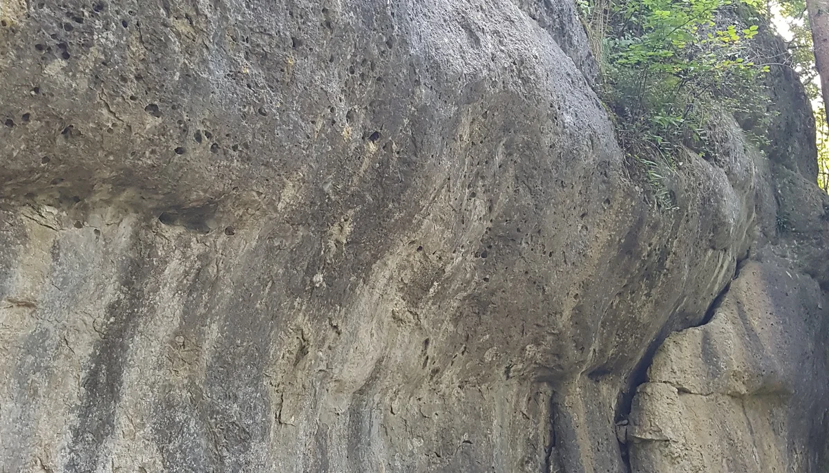 © Sektion Treuchtlingen