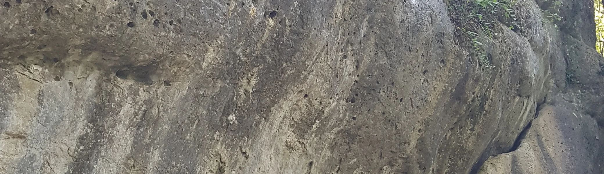 © Sektion Treuchtlingen