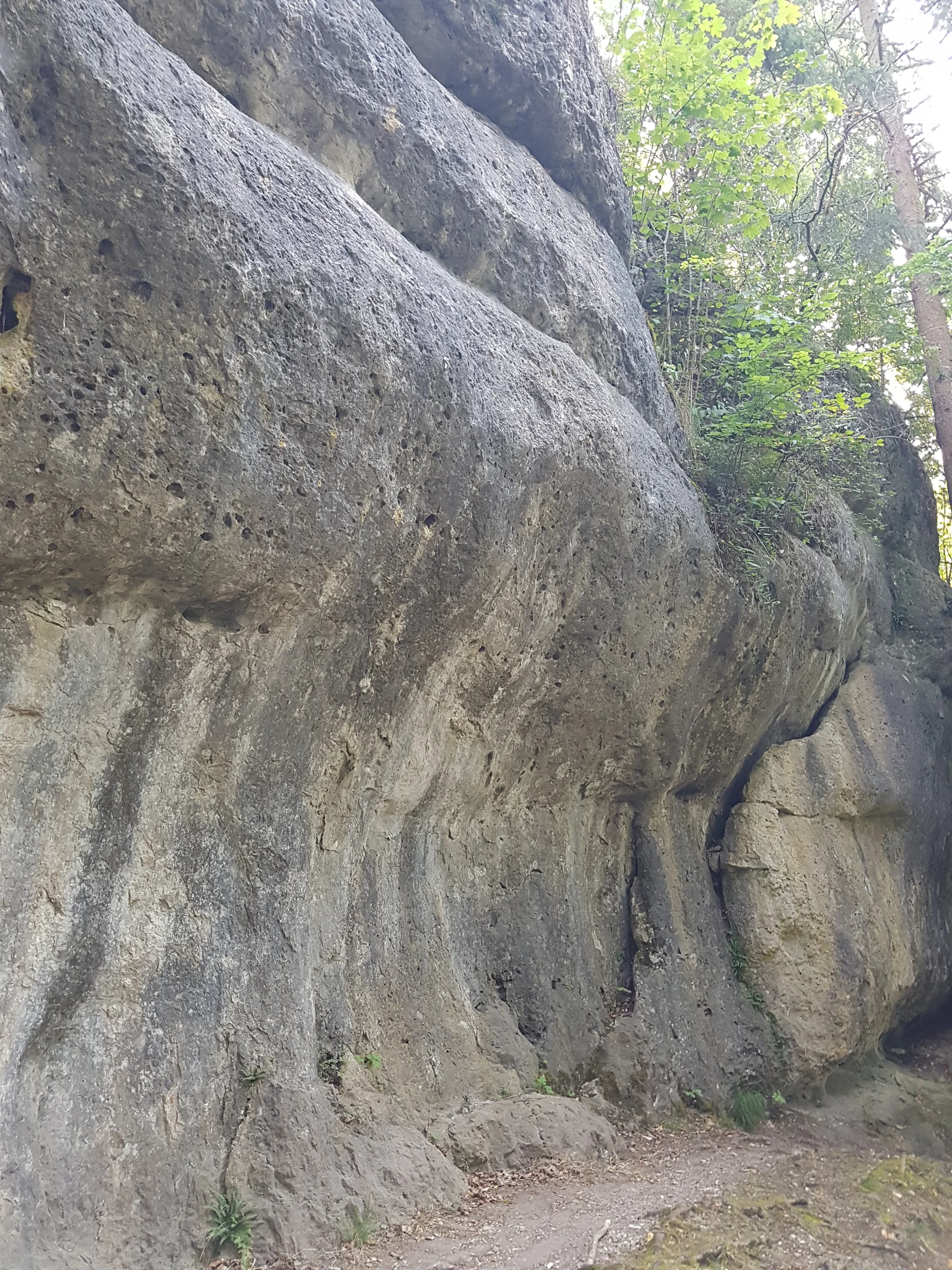 © Sektion Treuchtlingen