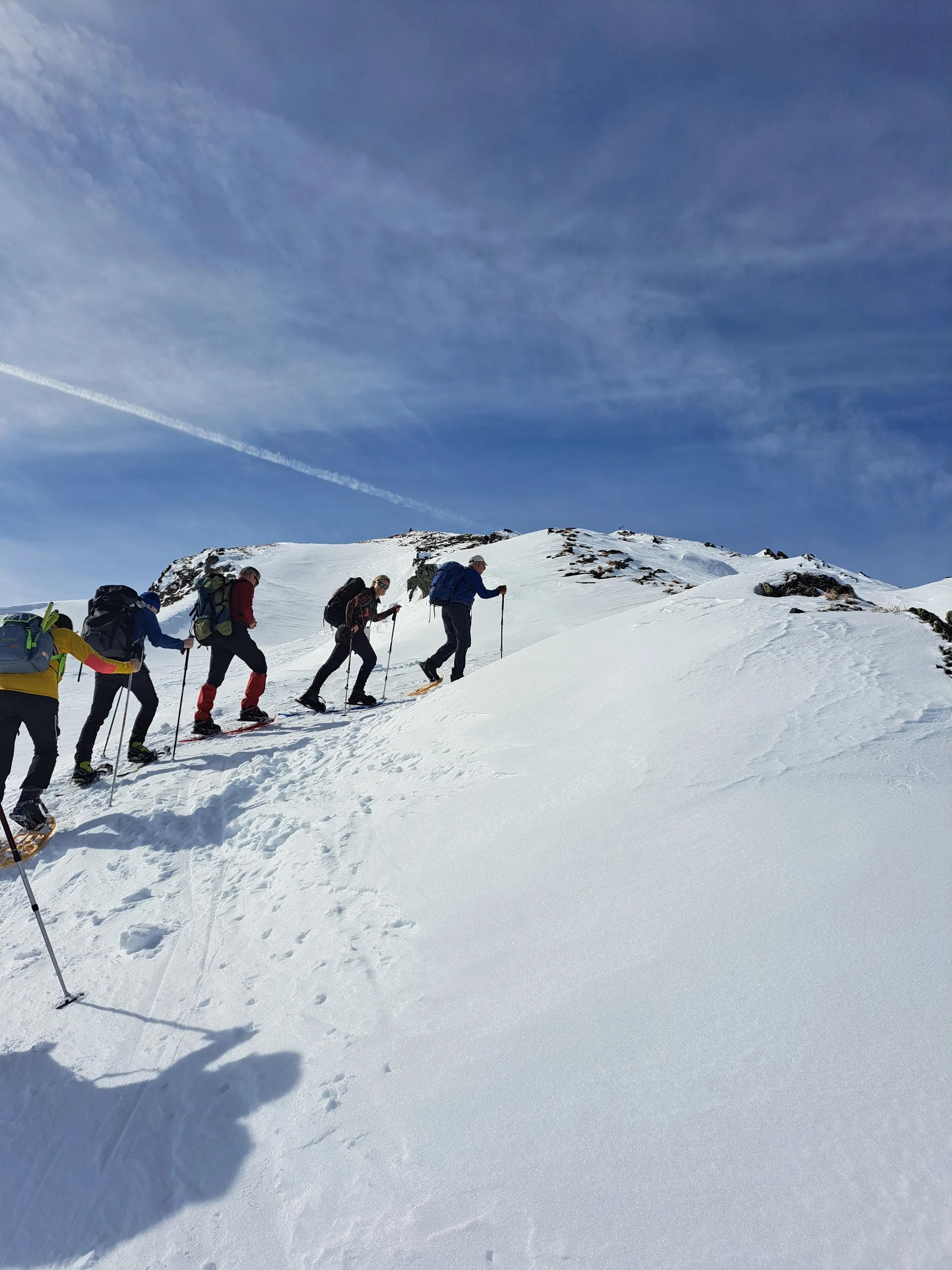 © Copyright: Sektion Treuchtlingen