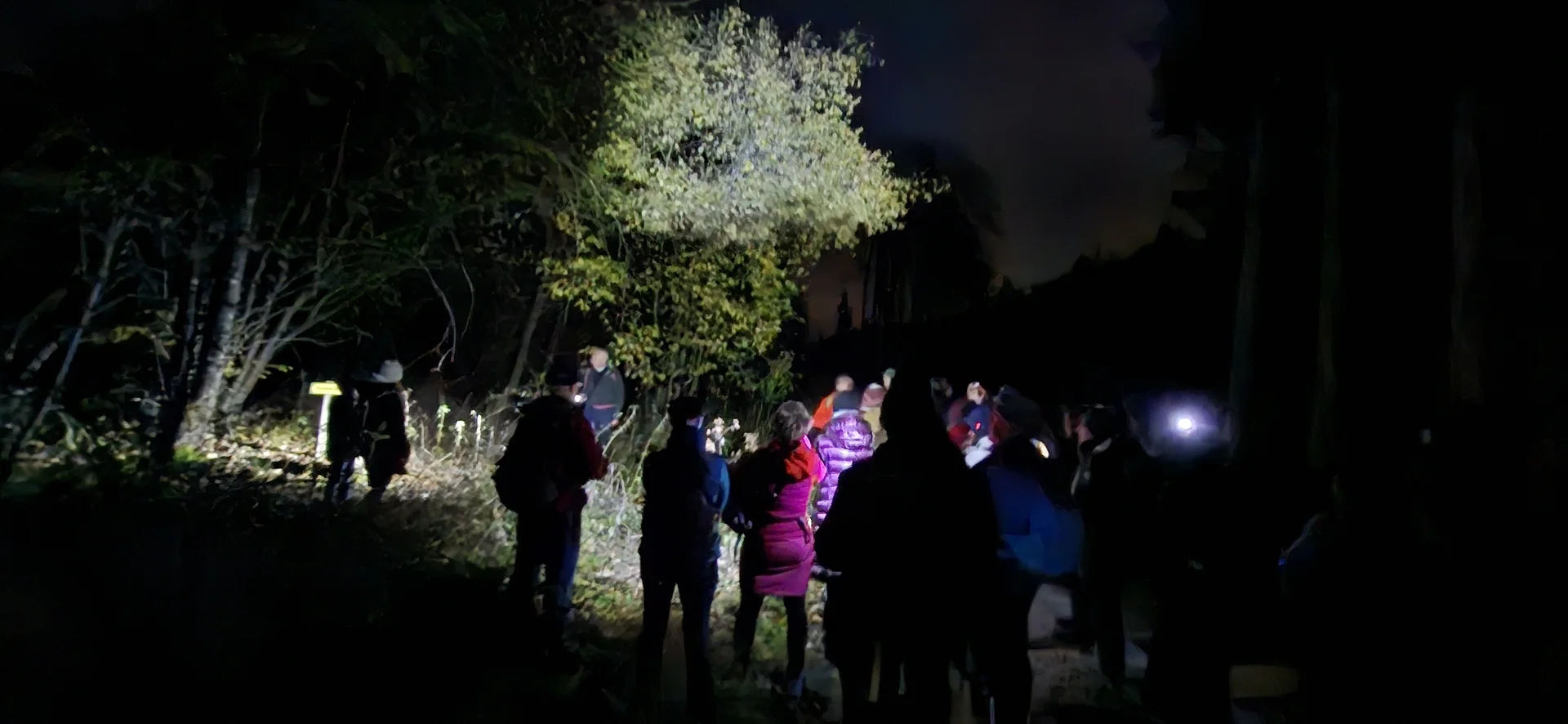 © Copyright: DAV Treuchtlingen