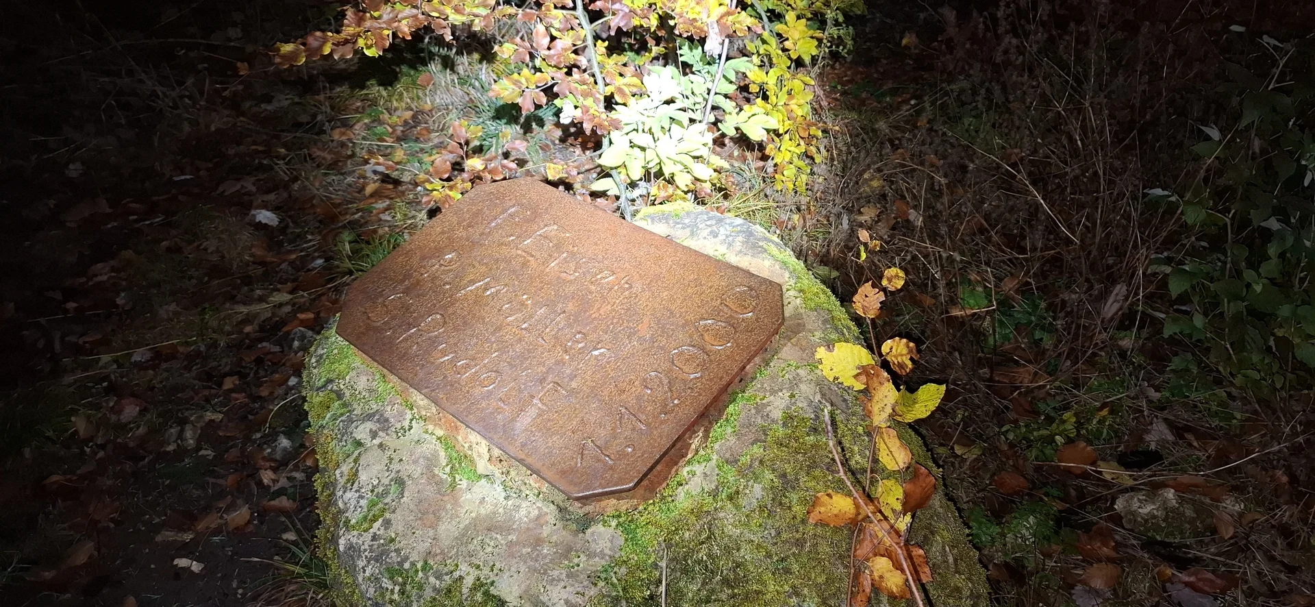 © Copyright: Sektion Treuchtlingen