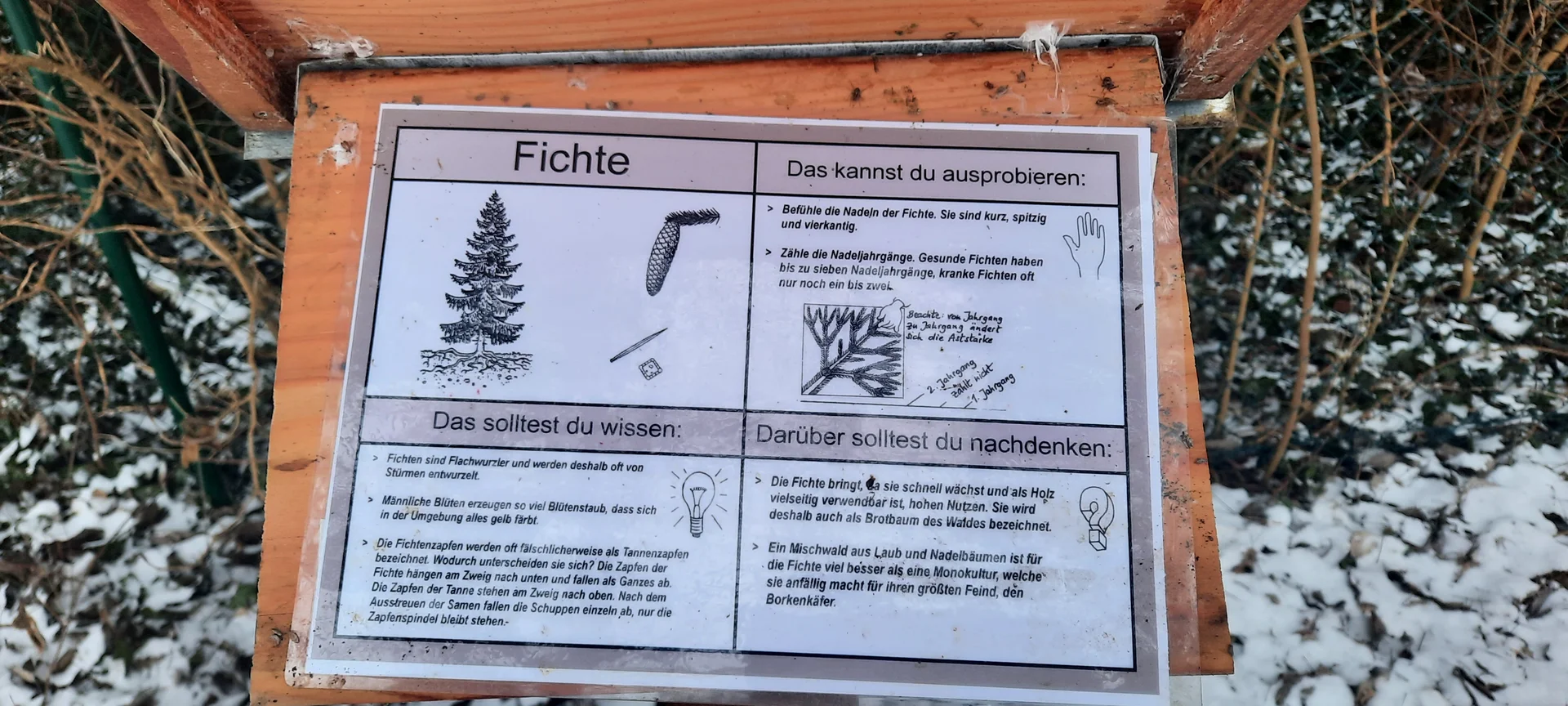 © Copyright: Sektion Treuchtlingen