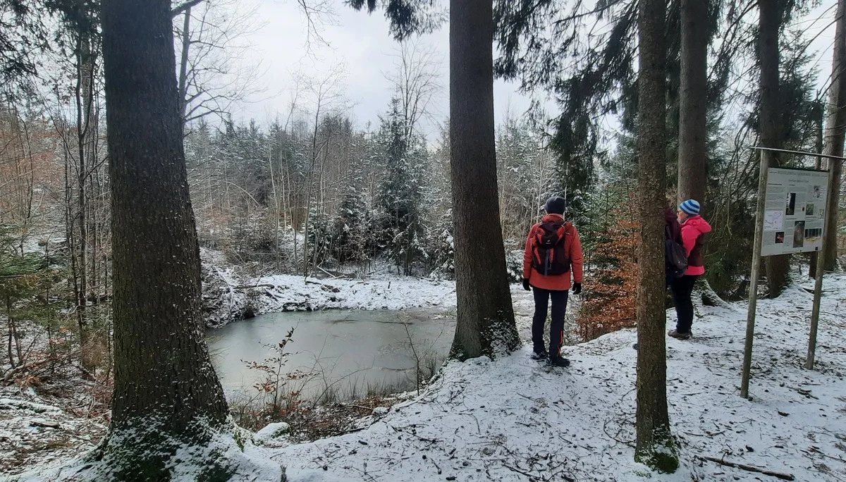 © Copyright: Sektion Treuchtlingen