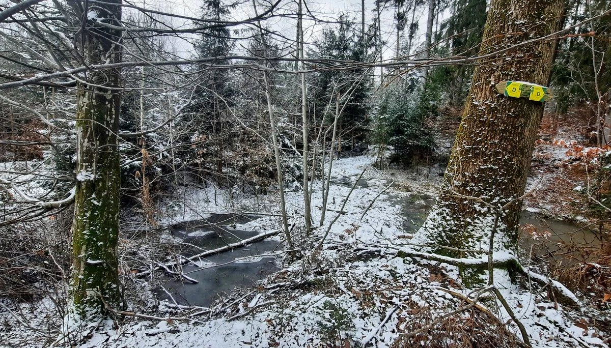 © Copyright: Sektion Treuchtlingen