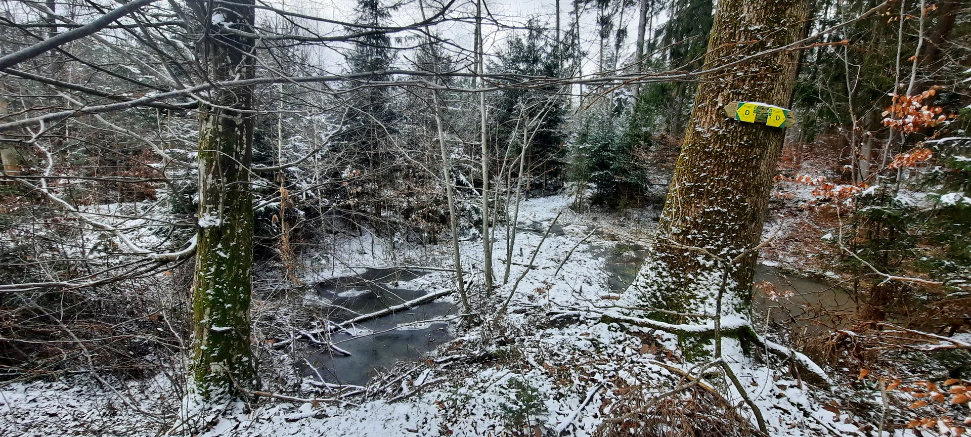 © Copyright: Sektion Treuchtlingen