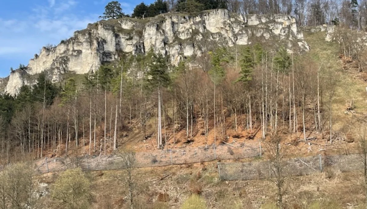 © Copyright: Sektion Treuchtlingen