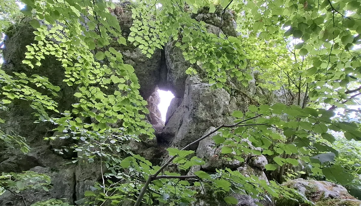 © Copyright: Sektion Treuchtlingen