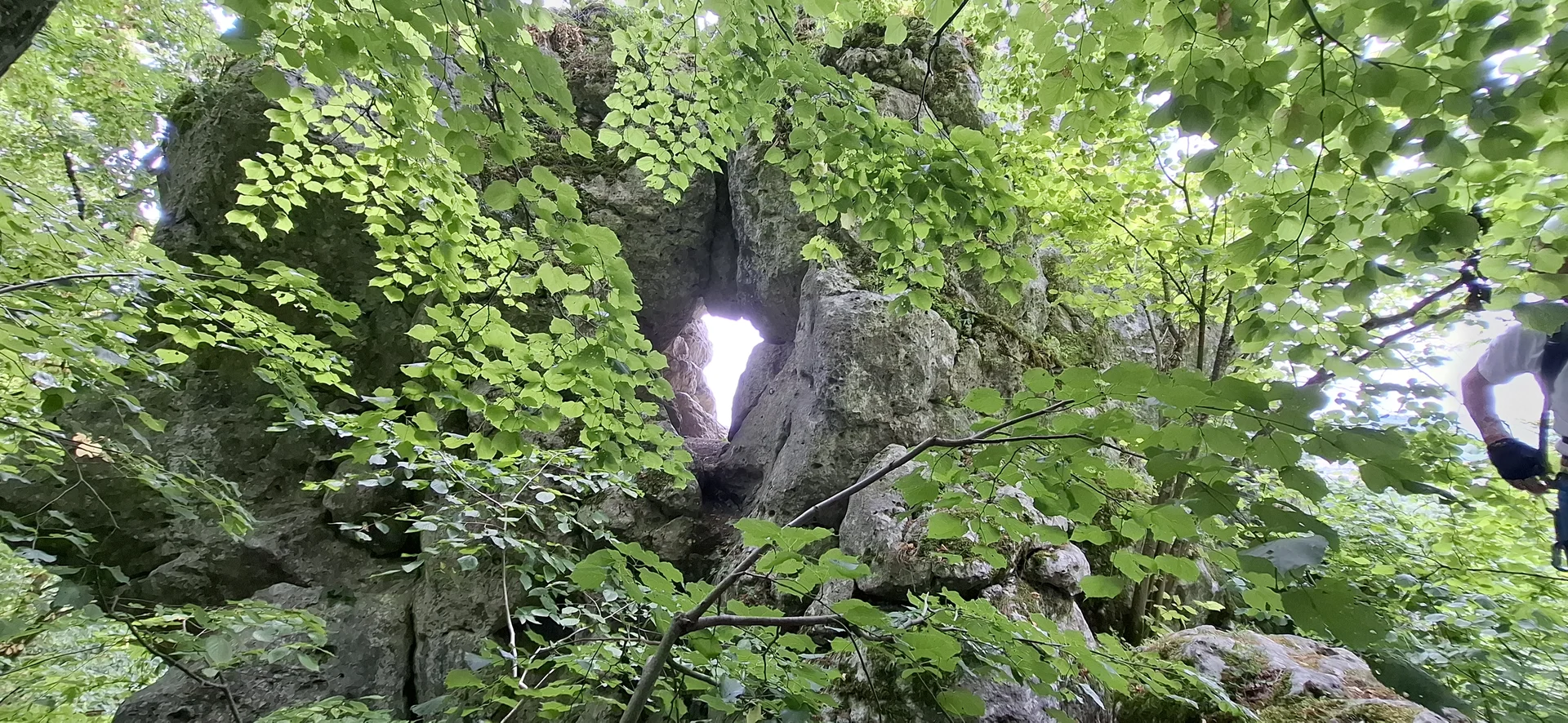 © Copyright: Sektion Treuchtlingen