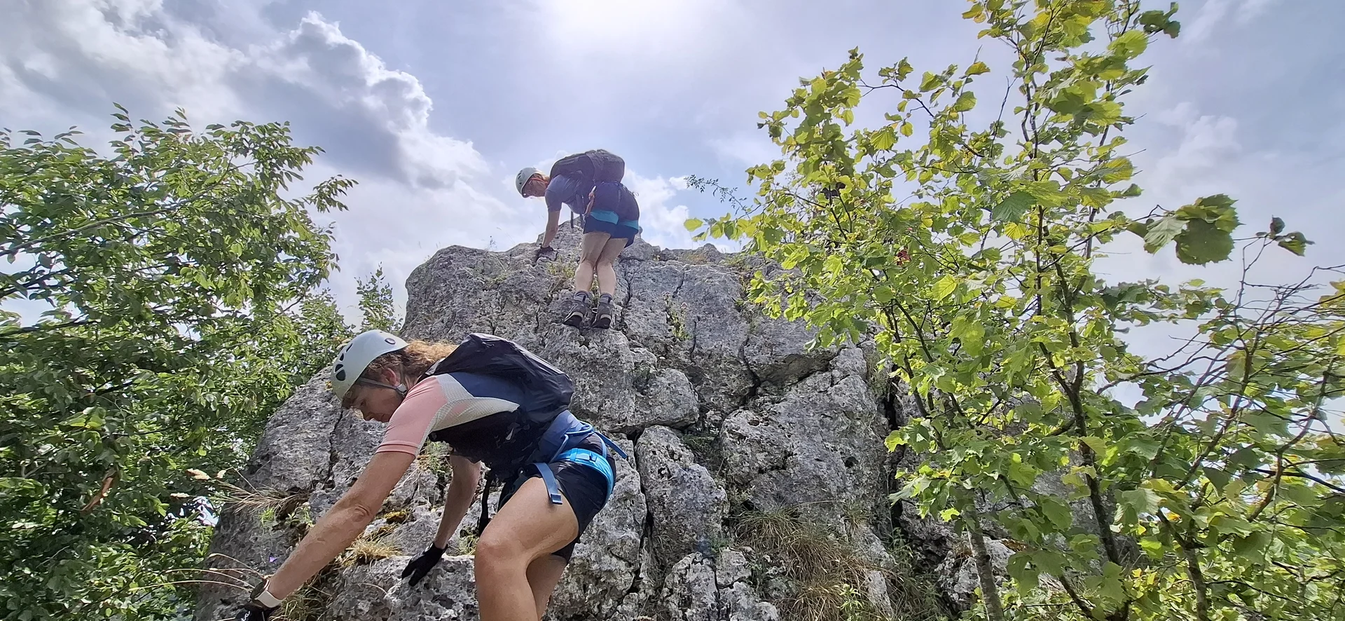 © Copyright: Sektion Treuchtlingen