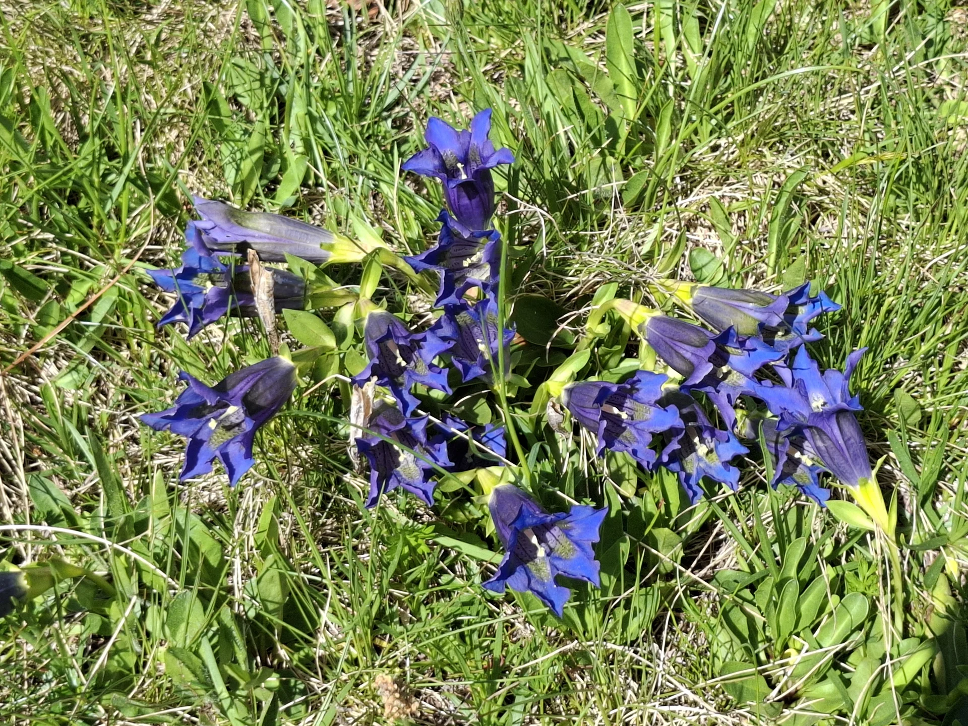 © Copyright: Sektion Treuchtlingen