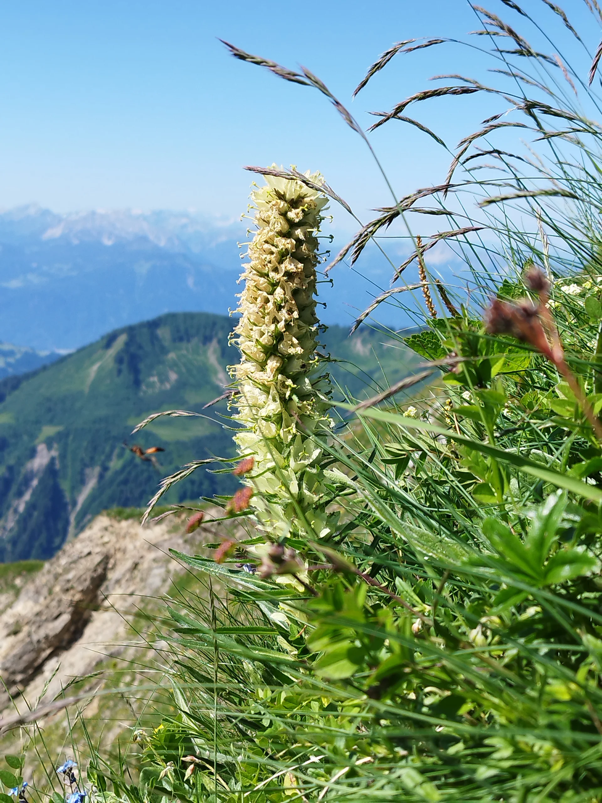 © Copyright: Sektion Treuchtlingen