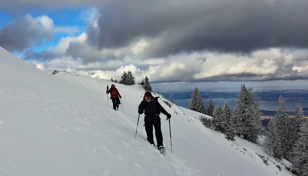 © Copyright: Sektion Treuchtlingen